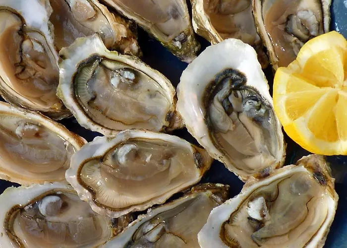 Easy4stay Konukevi Portimão