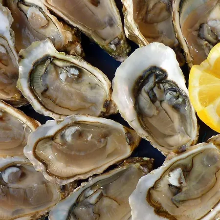 Easy4stay Konukevi Portimão