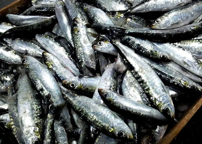 Easy4stay 4* Portimão